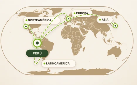 Rutas hacia mercados internacionales