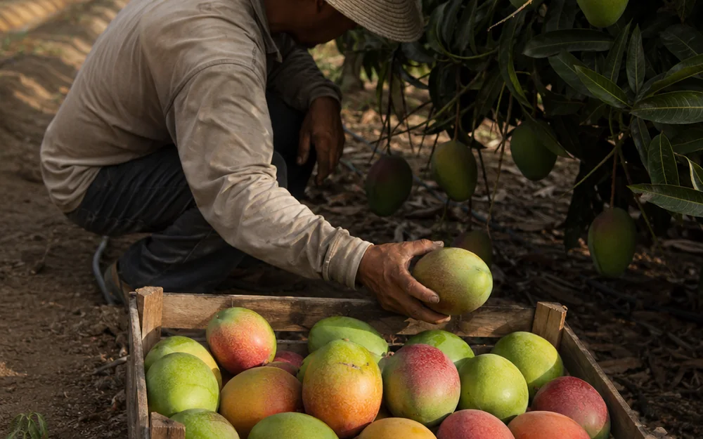 Origen peruano de los productos